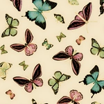  Butterfly – Cream/Pink (0025-6) 