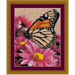 Monarch Beauty DAW-009