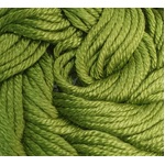 Soie D'Alger 8 m 0245