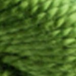 3346 Hunter Green Perle 5