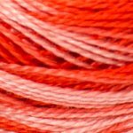 0106 Variegated Coral P8B