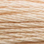 0945 Tawny S