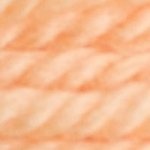 7173 Tapestry