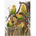 Country Threads - Bush Budgies by Fiona Jude