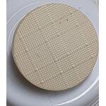 Button - 15mm Cream Shank