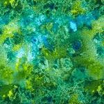 Fabric - WP Backing Essentials 108" Cosmos Green