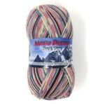  Monte Bianco Sock Yarn 4 ply Self Patterning Yarn - 100g ball