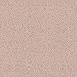 Devonstone Collection - Birdhouse Basics