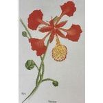 Ross Originals Cross Stitch Chart - Poinciana 