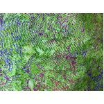 Ayu Batiks Fabrics - IM83-A