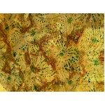 Ayu Batiks Fabrics -IM09-8G