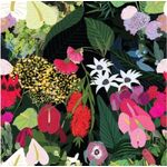 Robyn Hammond - Florals