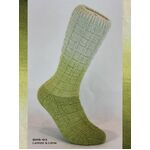 Fiori Gradient Sock Yarn