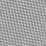 Zest Collection by Modern Quilt Studio - Zeal Zebra