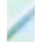 DMC Charles Craft Printed Aida Piece - 747 Morning Dew