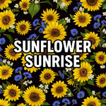 Sunflower Sunrise