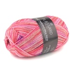 Tradi Merino Multi 34 Spring Flowers
