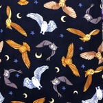 Fabric - Timeless Treasures Mystical Journey Navy Cotton