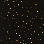 Fat Quarters - Fantastic Forest - Black