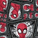 Spiderman 39930-103