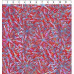 Dazzle Red Bloom