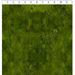Rainbow of Jewels - 3RJ2 Succulents Green