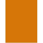 0311 MS