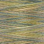 Gutermann Cotton 30 Multi 4101