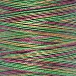 Gutermann Cotton 30 Multi 4041