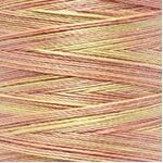 Gutermann Cotton 30 Multi 4049