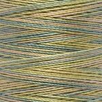 Gutermann Cotton 30 Multi 4125