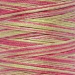 Gutermann Cotton 30 Multi 4127