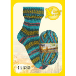 Opal Wintersonne DK - 11430