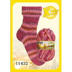 Opal Wintersonne DK - 11432