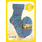 Opal Wintersonne DK - 11434