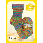 Opal Wintersonne DK - 11435