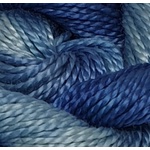 0410 Blue Wren 12