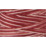 Cosmo Hidamari Sashiko Thread Col 402