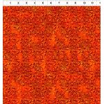 Sunshine - 4SS-1 Bloom Orange