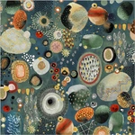 54777DM-1 Labradorite