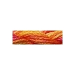 Waterlilies 276 Tequila Sunrise