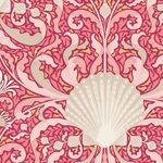 Cotton Beach - 100321 - Scallop Shell Coral