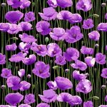 Fat Quarters - Animals of War Purple Poppy Field Black 7117AE