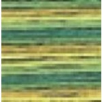Stranded Multicolour 1353