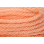 9506 ATW