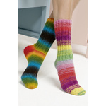 Lang Yarns Sockology
