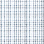 Soaring Dreams – Gingham Blue – 91245-40
