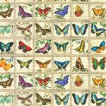 Library of Rarities - ATXD 19598-200 Vintage