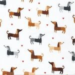 Whiskers and Tails SRK 20414-1 White