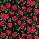Poppies 102 Stems Black